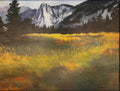 Yosemite Fields