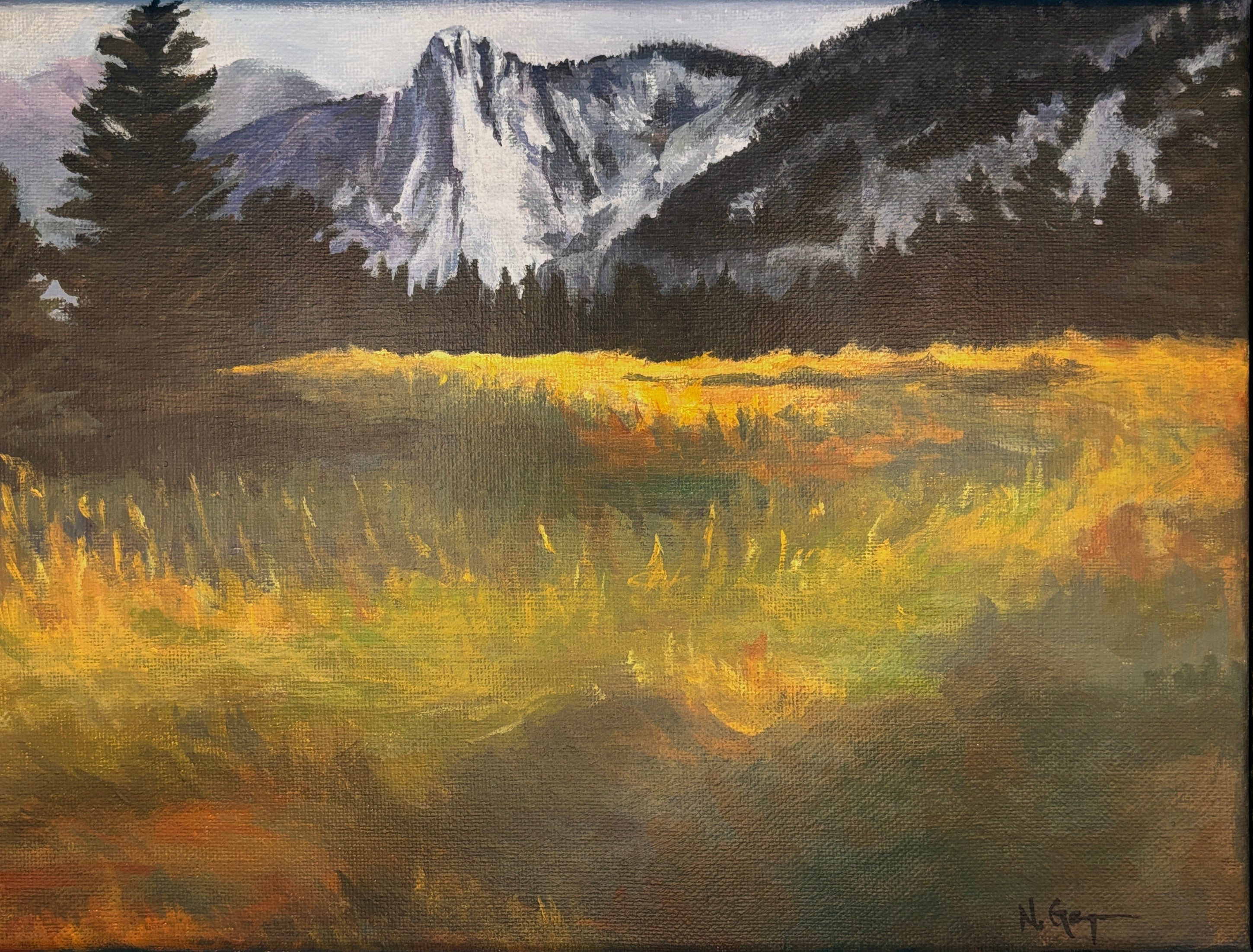 Yosemite Fields