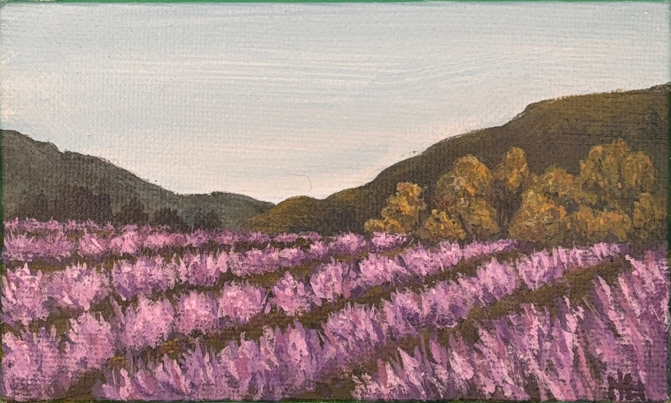 Lavender Fields Mini