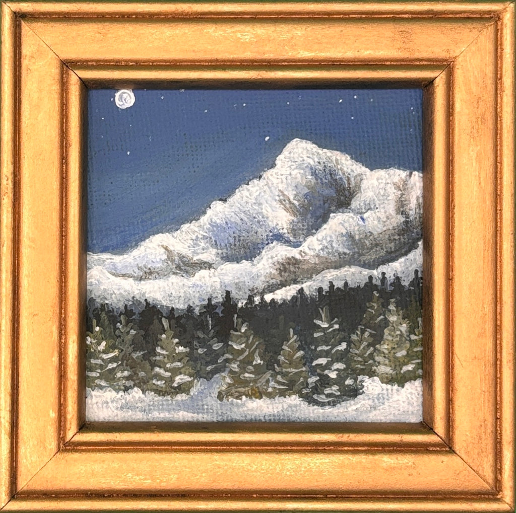 Winter Mini #3