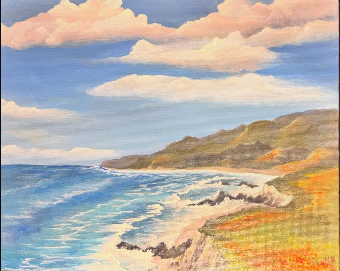 Midwinter View from Carpinteria Bluffs