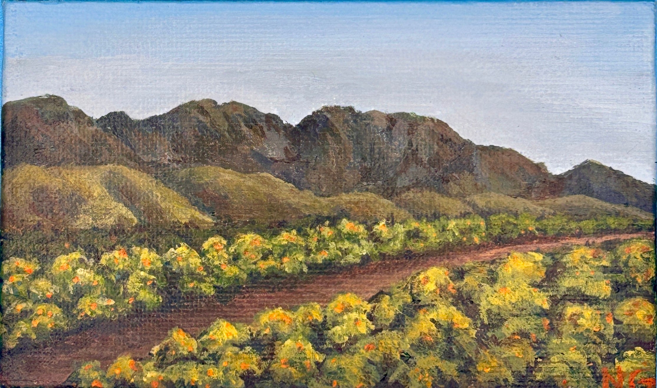 Orange Groves Mini