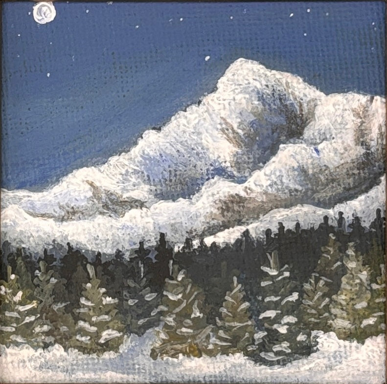 Winter Mini #3